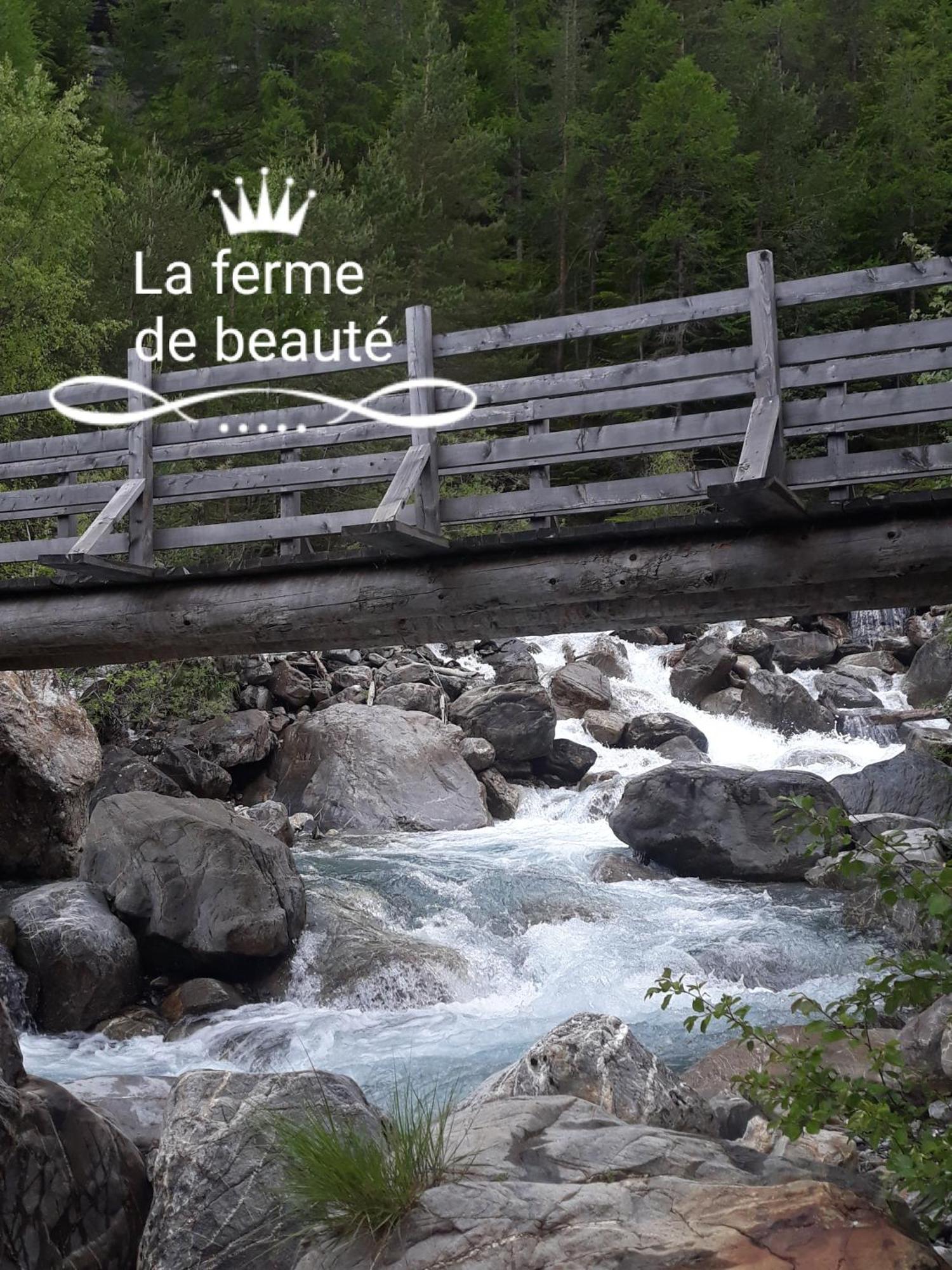Bed and Breakfast La Ferme de Beauté Chateauroux-les-Alpes Esterno foto
