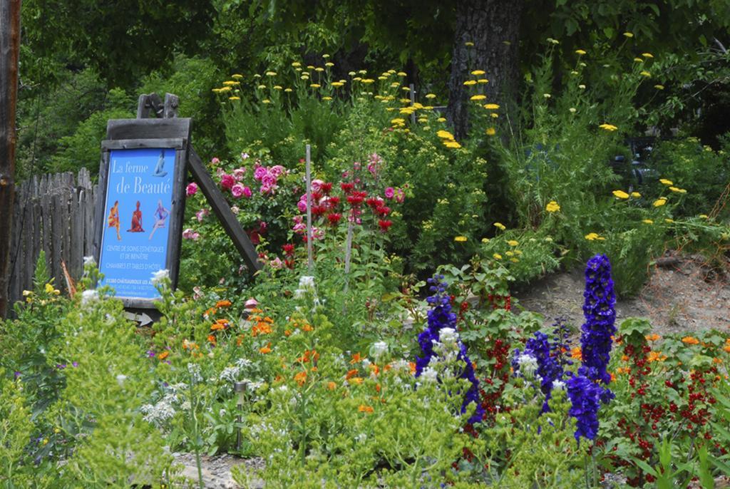 Bed and Breakfast La Ferme de Beauté Chateauroux-les-Alpes Esterno foto